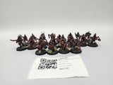 Age of Sigmar Crypt Ghouls HBR-30