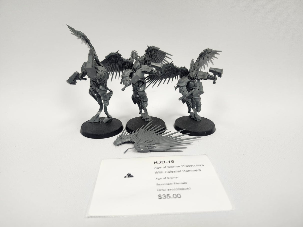 Age of Sigmar Prosecutors With Celestial Hammers HJD-15