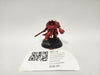 Warhammer 40,000 Leviathan Captain in Terminator Armour HET-12