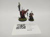 Age of Sigmar Swampcalla Shaman With Pot-Grot GPX-10