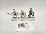 Age of Sigmar Immortis Guard GZM-19