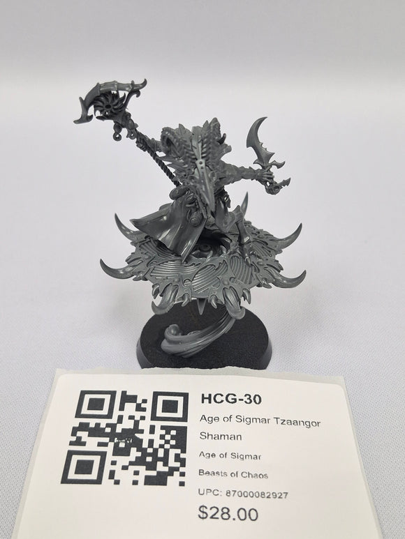 Age of Sigmar Tzaangor Shaman HCG-30