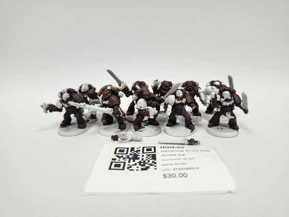 Warhammer 40,000 Grey Hunters oop HGQ-02