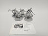 Age of Sigmar Putrid Blightkings GJC-29