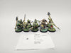 Age of Sigmar Cryptguard HNE-31