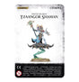 Front of a Citadel miniature package labeled “TZAANGOR SHAMAN,” showing a horned, armored figure in blue and turquoise holding a staff atop a dark, spiked disc, suspended over a grassy base by a curling green magical plume.