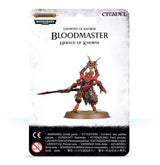Front of a white-and-black retail card showing a red armored Bloodmaster miniature with horns, a long sword and a round base. The card reads “BLOODMASTER” and “HERALD OF KHORNE,” with “CITADEL” at the top.