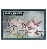 Front of the Tyranid Gargoyle Brood box, illustrated with several pale bone-colored, pink and purple winged creatures flying over a misty battlefield. The box reads “WARHAMMER 40,000” and “CITADEL.”