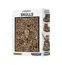 White patterned box labeled “CITADEL SKULLS,” with a black window showing many small tan skulls and bones; the side displays examples arranged around painted miniatures. Warhammer logos appear along the bottom.
