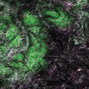 FLG Mats: Alien Hive-52