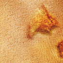 FLG Mats: Arid Desert-13