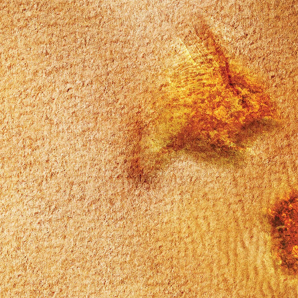 FLG Mats: Arid Desert