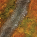 FLG Mats: Autumn Field-2