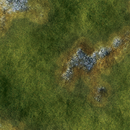 FLG Mats: Grasslands 2-14