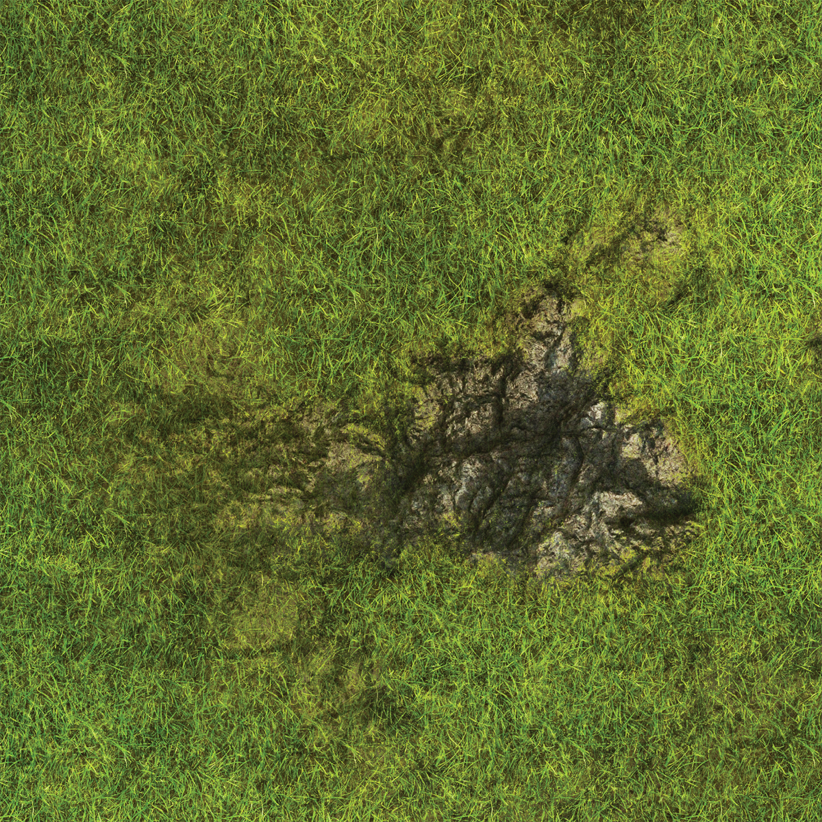 FLG Mats: Grasslands 1