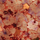 FLG Mats: Horrorscape-13