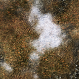 FLG Mats: Ancient Alien Ruins Winter