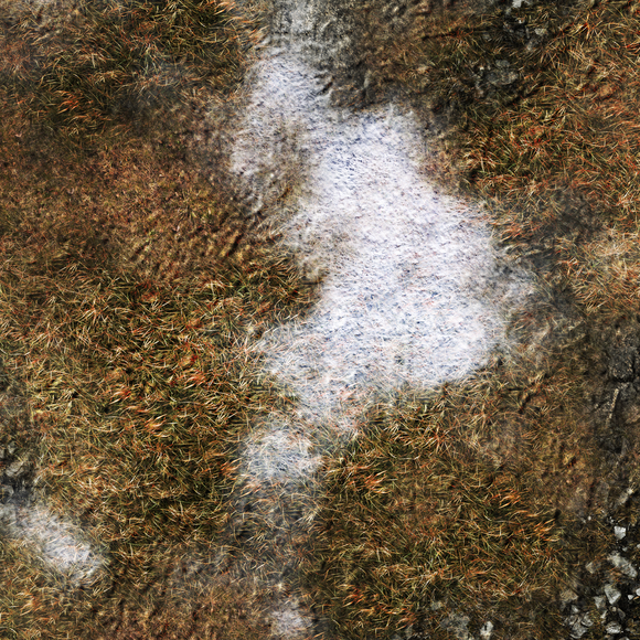 FLG Mats: Ancient Alien Ruins Winter