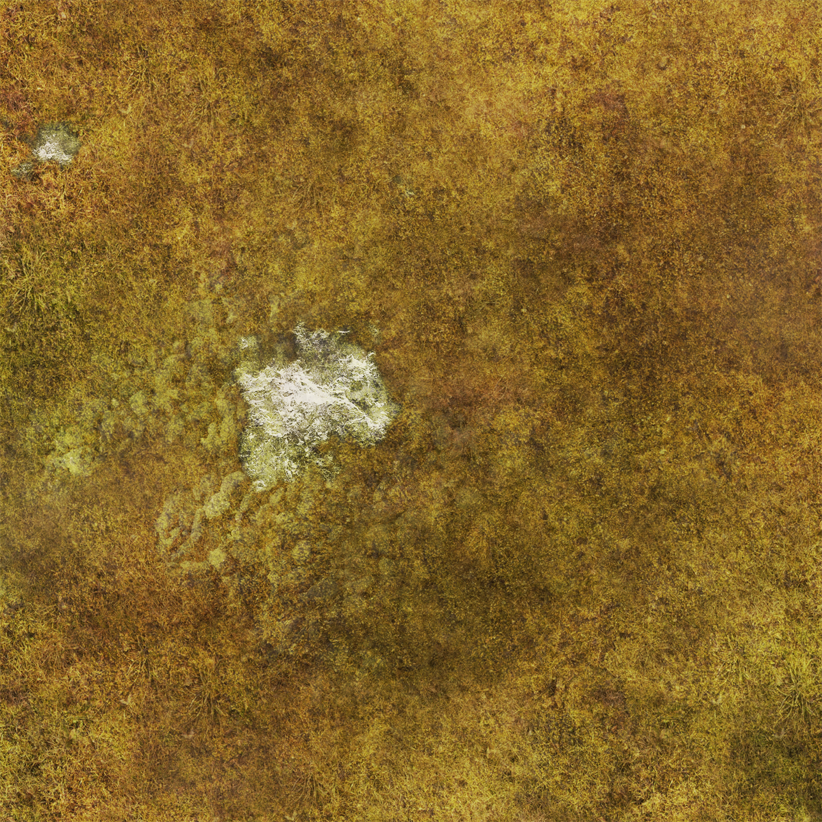 FLG Mats: Tundra 1