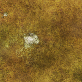 FLG Mats: Tundra 1