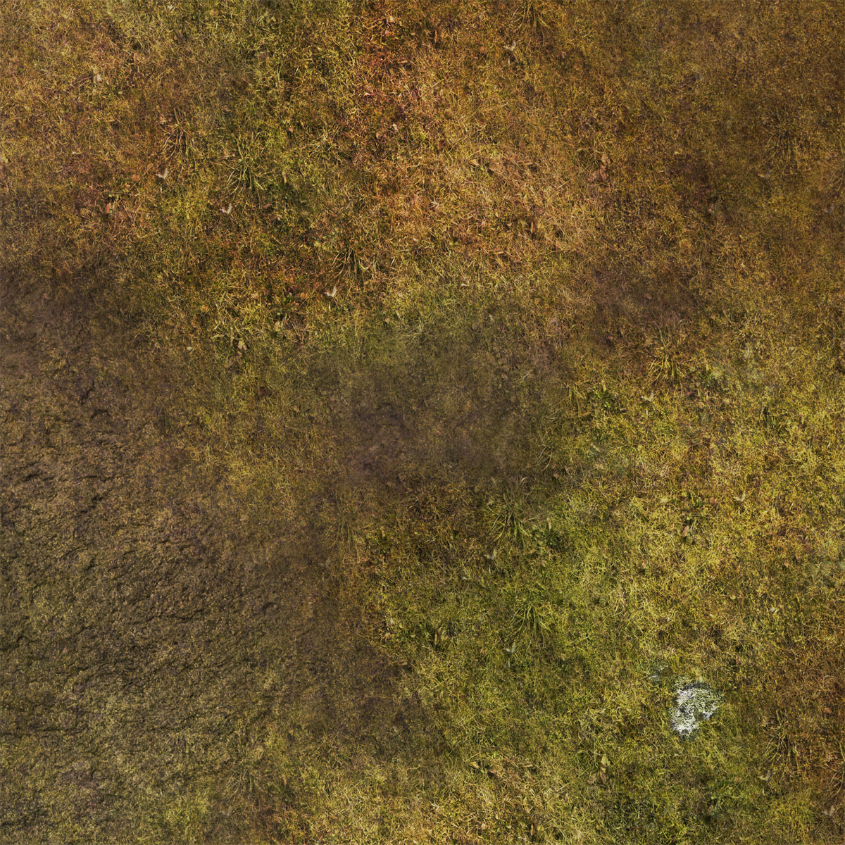 FLG Mats: Tundra 1