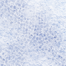 FLG Mats: Snow Covered Cobblestone City 1-2