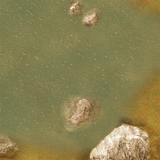FLG Mats: Oasis