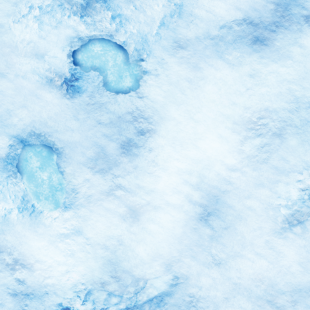 FLG Mats: Snow 2