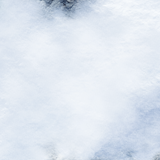 FLG Mats: Snow 3