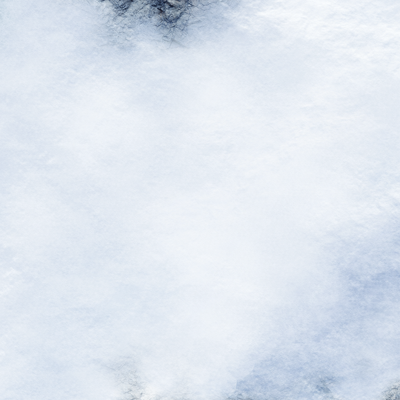 FLG Mats: Snow 3