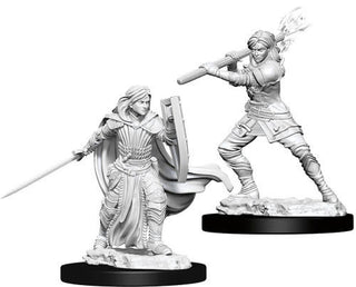 D&D Minis: Nolzur's Marvelous Unpainted Miniatures, W10 Female Human Paladin