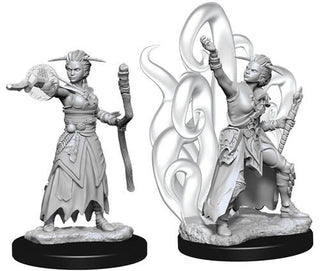 D&D Minis: Nolzur's Marvelous Unpainted Miniatures, W10 Female Human Warlock