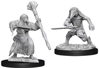 D&D Minis: Nolzur's Marvelous Unpainted Miniatures, W10 Kenku Adventurers