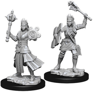 D&D Minis: Nolzur's Marvelous Unpainted Miniatures, W8 Female Human Cleric