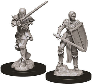 D&D Minis: Nolzur's Marvelous Unpainted Miniatures, W9 Female Human Fighter