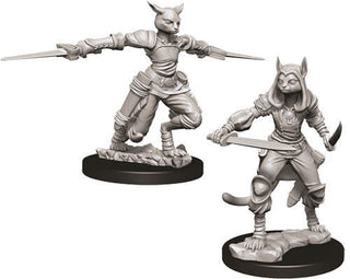 D&D Minis: Nolzur's Marvelous Unpainted Miniatures, W9 Female Tabaxi Rogue