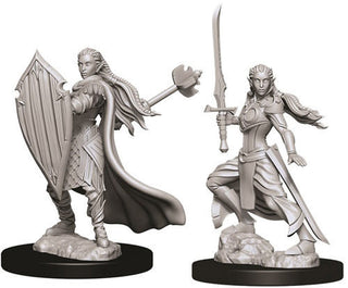 D&D Minis: Nolzur's Marvelous Unpainted Miniatures, W9 Female Elf Paladin