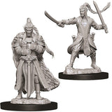 Two gray unpainted male elf paladin miniatures stand on black bases. One wears ornate armor and a long cape, holding a sword point-down; the other wears layered armor and raises a sword in each hand in a wide stance.