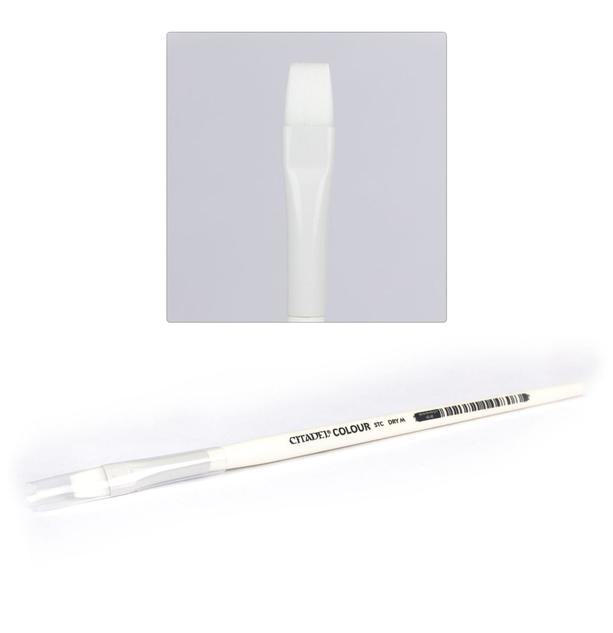 A white Citadel dry brush lies diagonally with its broad, flat white bristles under a clear protective cap at the handle end; an inset shows the bristle shape close up. The handle is printed with “CITADEL COLOUR” in black.