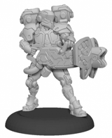 A gray sci-fi Paladin Aegis miniature stands on a round black base, wearing bulky layered armor with large equipment packs behind the shoulders. It holds a broad, angular shield at its side and a weapon across its body.