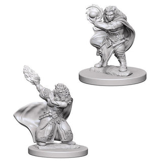 D&D Minis: Wave 4- Dwarf Female Wizard