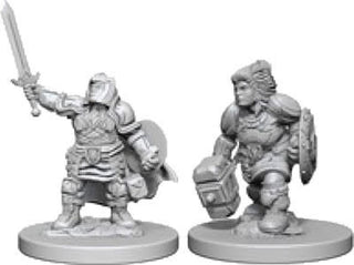 D&D Minis: Wave 3- Dwarf Female Paladin