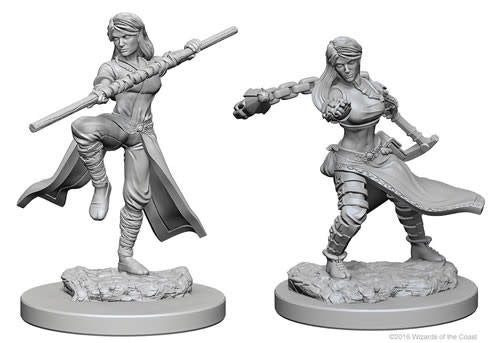 D&D Minis: Wave 1- Human Female Monk