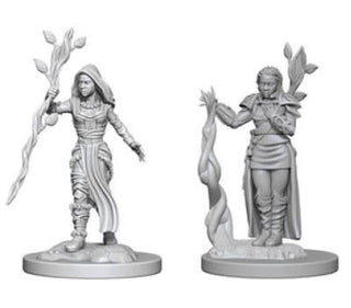 D&D Minis: Wave 2- Human Female Druid