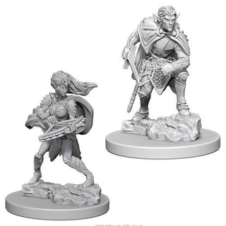 D&D Minis: Nolzur`s Marvelous Unpainted Miniatures, W4 Drow