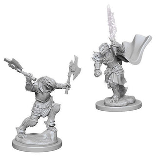 D&D Minis: Nolzur`s Marvelous Unpainted Miniatures, W4 Dragonborn Female Fighter