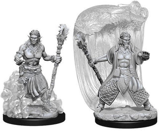 D&D Minis: Nolzur`s Marvelous Unpainted Miniatures, W5 Water Genasi Male Druid