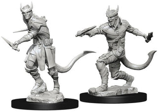 D&D Minis: Nolzur`s Marvelous Unpainted Miniatures, W5 Tiefling Male Rogue