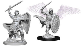 D&D Minis: Nolzur`s Marvelous Unpainted Miniatures, W5 Aasimar Male Paladin