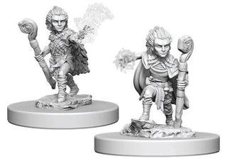 Pathfinder Minis: Deep Cuts Unpainted Miniatures, W5 Gnome Male Druid